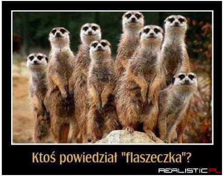 Dwa razy nie trzeba powtarzać ;)