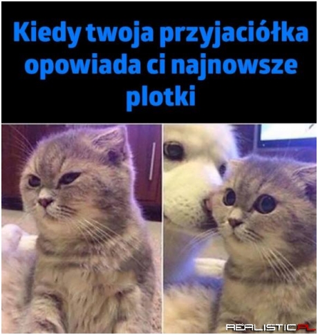 I te godziny spędzone na rozmowach xD