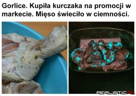 Kura błękitnej krwi