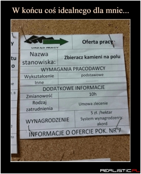 Robota jak robota xD