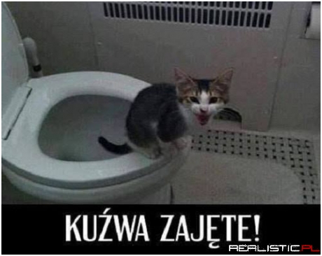 Się puka!
