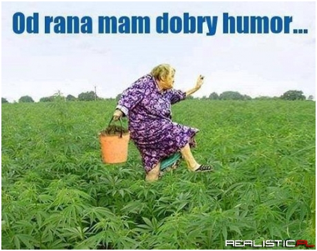 Wiecznie dobry humor xD