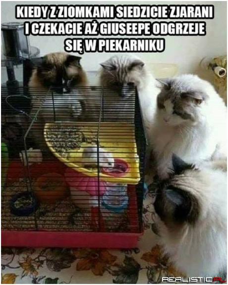 xD