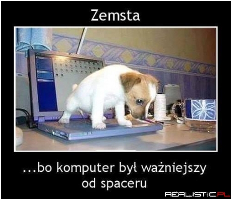 Zemsta psiaka