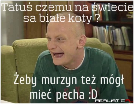 Białe koty