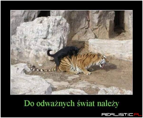 Brawo za odwagę xD