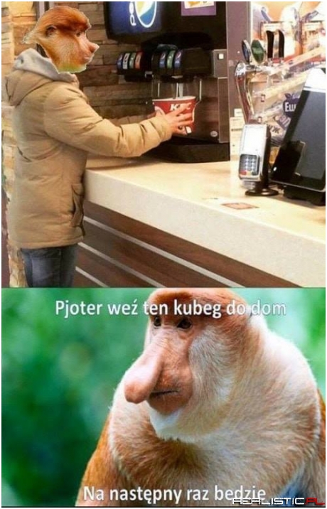 Co ten Pjoter xD