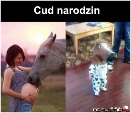 Cud narodzin