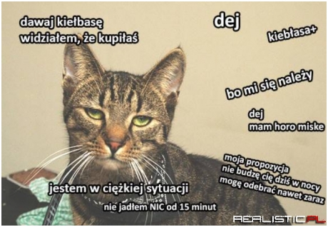 Dawaj kiełbasę