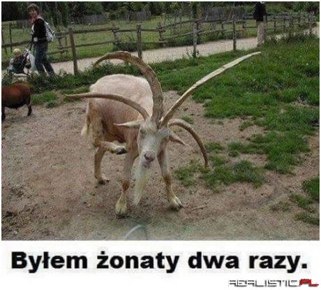 Do trzech razy sztuka