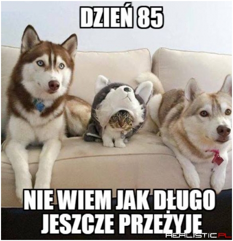 Dzień 85
