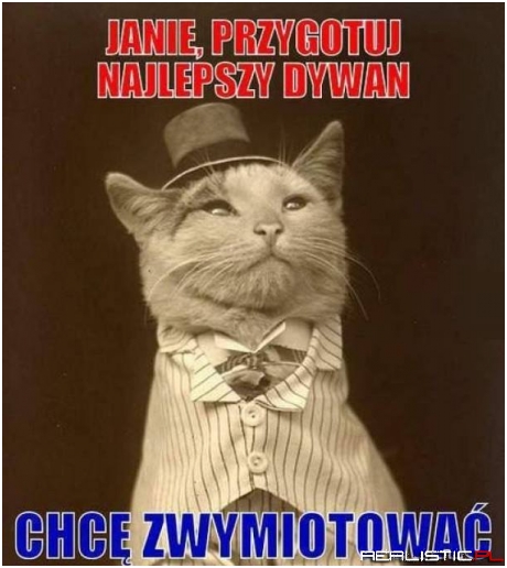 Janie dywan proszę