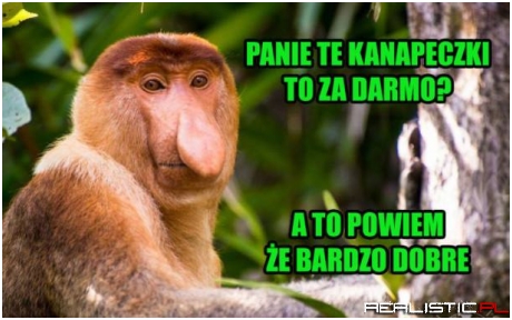 Janusz na degustacji