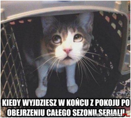 Koniec serialu