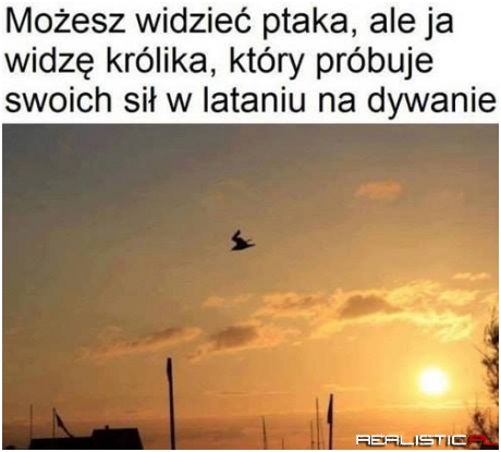 Królik na dywanie