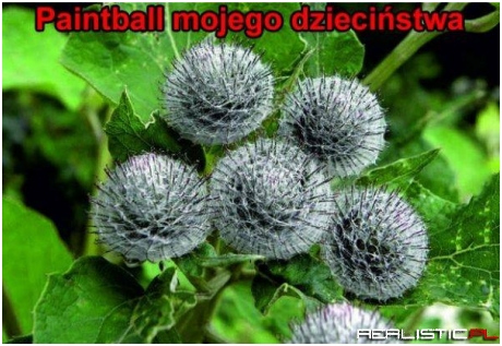 Paintball