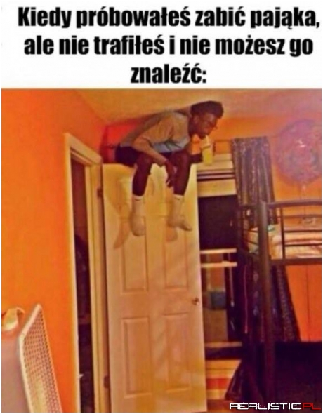 Pająki...