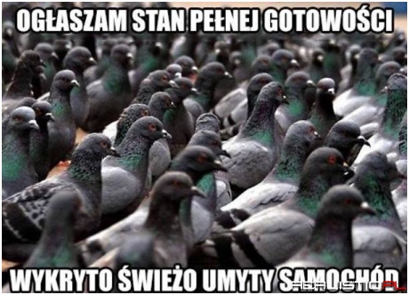Stan pełnej gotowości