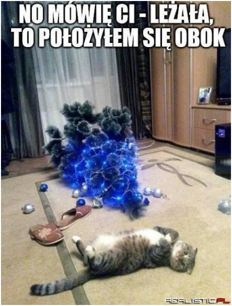 Tak było