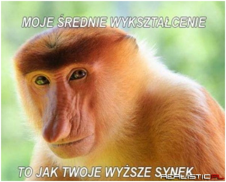 Wykształcenie