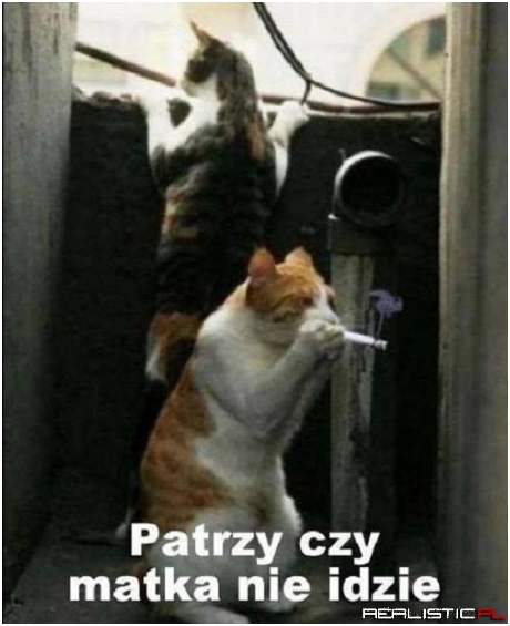 Z życia wzięte xD