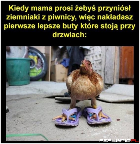 Za każdym razem
