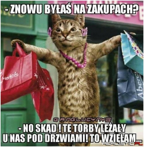Zawsze leżą ;)