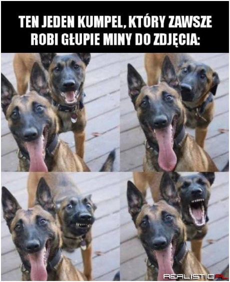 Zawsze się taki znajdzie