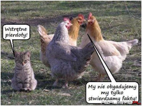 Źyciowe...