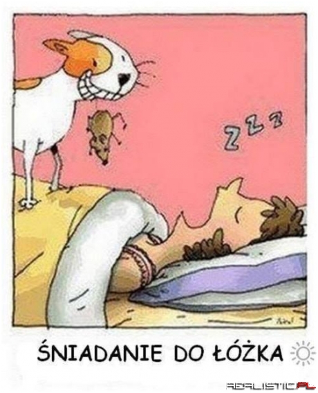 Żywe śniadanko do łóżka
