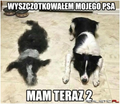 2 w 1
