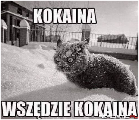 Apsik...