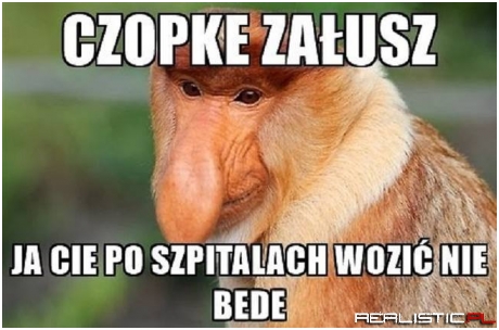 Czapka na głowę już!