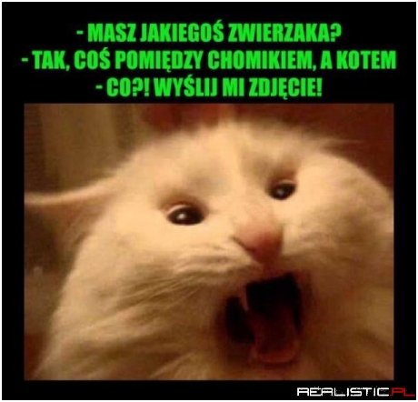 Fajny zwierzak