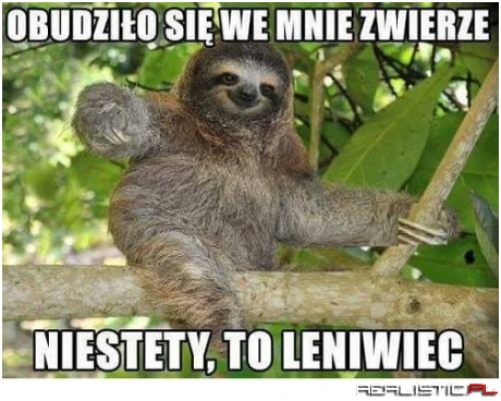 Idę spać ;)
