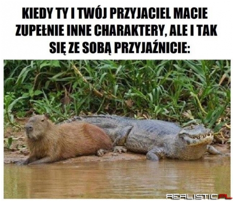 Jak się chce to można ;)