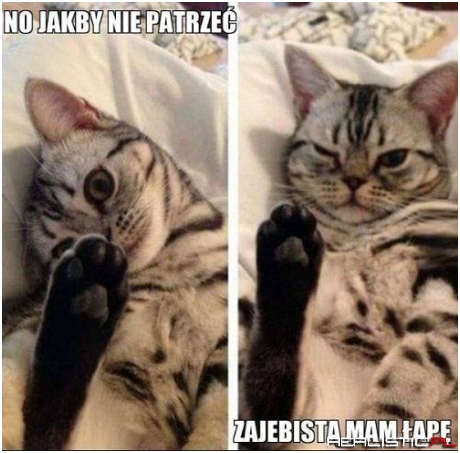 Jakby nie patrzeć
