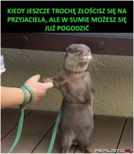 Jest tak
