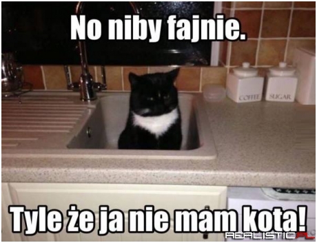 Kici kici
