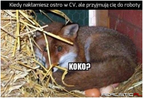 Kiedy nakłamiesz w CV