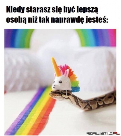 Kiedy się starasz