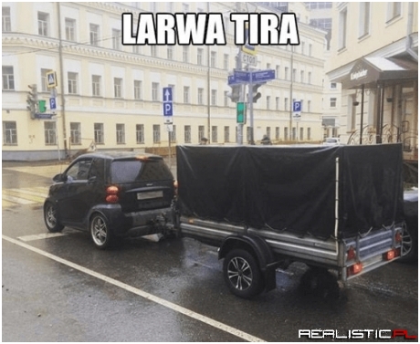 Larwa tira