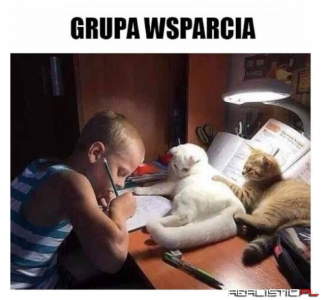 Moja grupa wsparcia