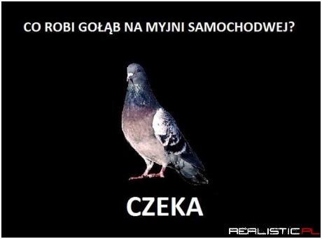 Niech tylko spróbuje...