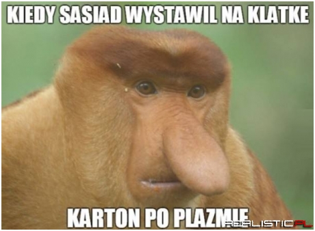 Nowa plazma