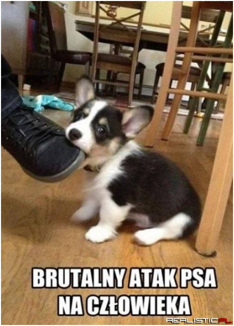 Strach się bać