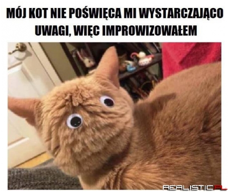 Taka improwizacja