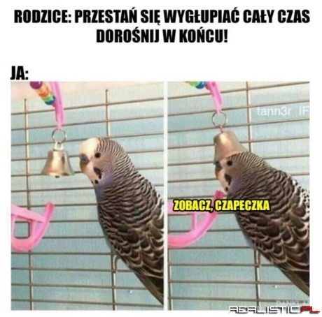 Taki jestem