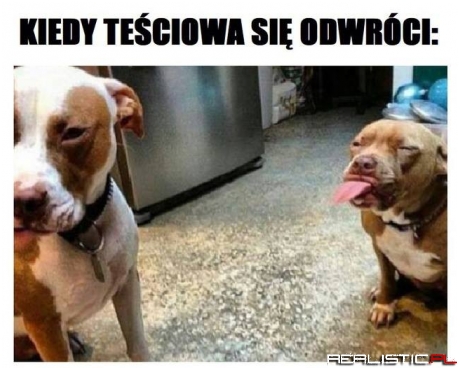 Teściowa