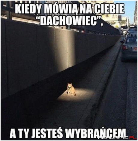 To uczucie